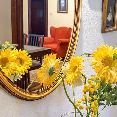 Vt - Hogar Familiar En Deusto Bilbau