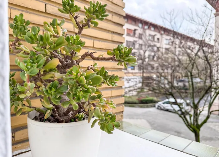 Appartement Vt - Hogar Familiar En Deusto *